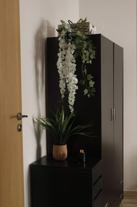 Inheart Chios Appartement